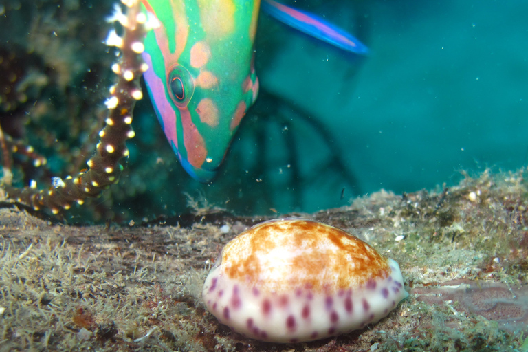 Boracay: eiland- en strandhoppende boottocht met snorkelenAlleen rondleiding