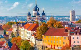 Welcome to Tallinn: Private Walking Tour with a Local