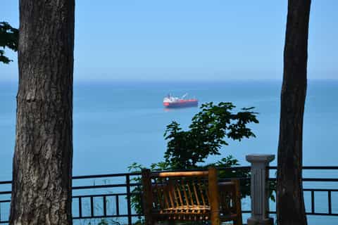 Adjara: Batumi Botanical Garden & Mtirala National Park