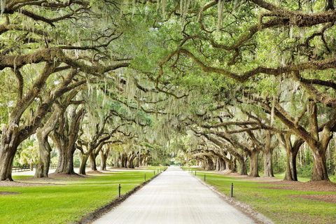 Charleston: Tour Pass con oltre 40 attrazioniPass di 1 giorno per il tour di Charleston