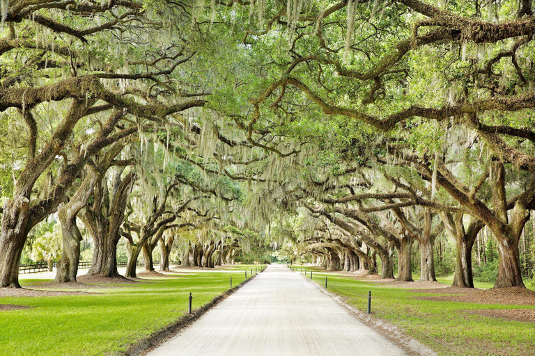 Charleston: Pase turístico con más de 40 atraccionesPase de 1 día por Charleston