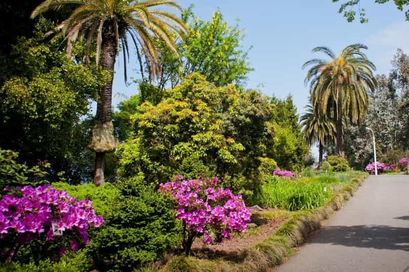 Adscharien Botanischer Garten von Batumi und MtiralaNationalpark