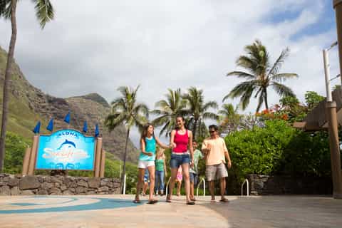 Oahu: Sea Life Park General Admission Ticket