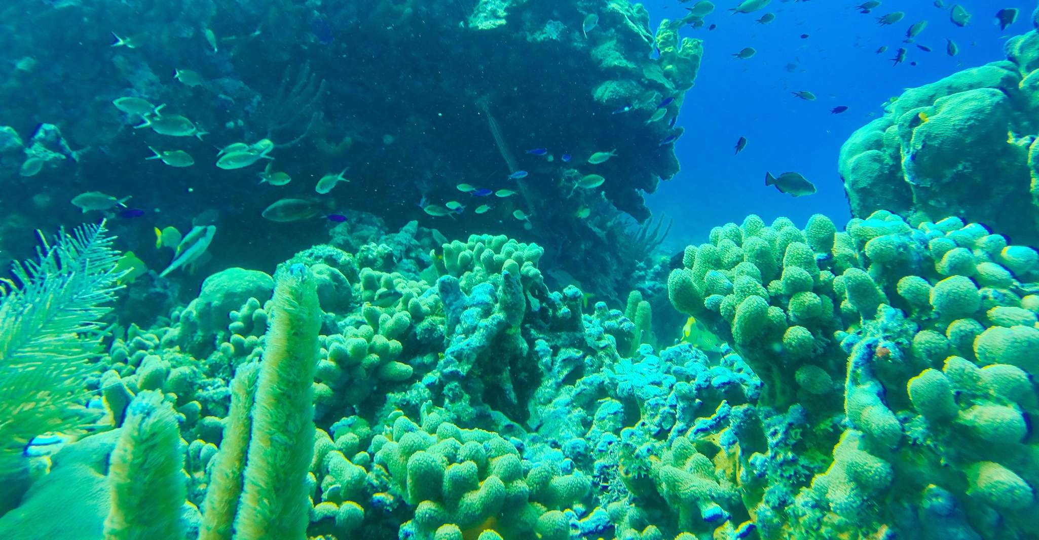 San Andrés, Walking Under the Sea Experiência - Hizvo