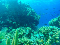 San Andrés, Spaziergang unter dem Meer - Hizvo