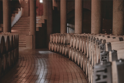 مزرعة بيرك صن ست ستودإسطبلات بيركيه صن ستبلز