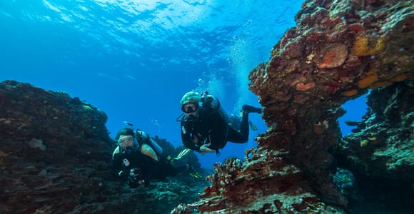 West Shore Oahu: 2-Dive Scuba Tour for Certified Divers