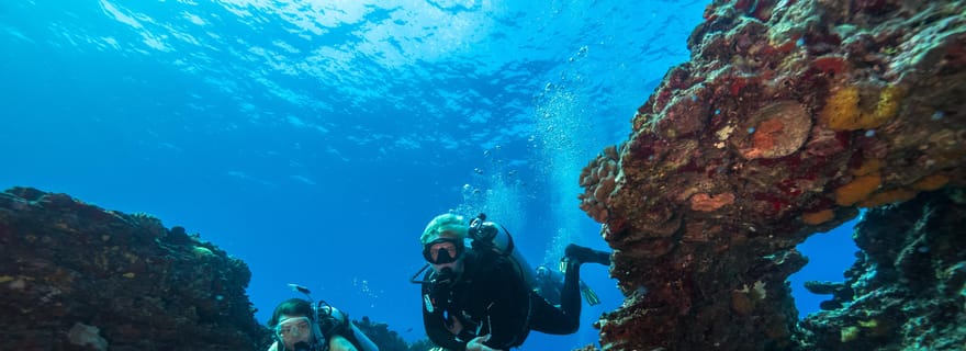 Rive ouest d'Oahu : plongée profonde et récifale pour plongeurs certifiés