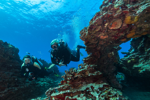 Oahu: Immersione su relitto e barriera corallina per subacquei certificatiOahu: Wreck &amp; Reef Scuba Dive per subacquei certificati