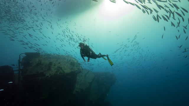 Oahu: Wrack- und Rifftauchgang für zertifizierte Taucher