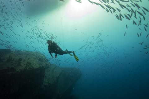 Oahu: Wreck & Reef Scuba Dive per subacquei certificati
