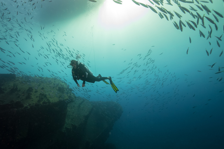 Oahu: Immersione su relitto e barriera corallina per subacquei certificatiOahu: Wreck &amp; Reef Scuba Dive per subacquei certificati