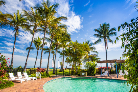 Moreton Island: Tangalooma Whale Watching & Dolphin Viewing Tangalooma Whale Watching, Sunset Cocktail & Dolphin Viewing