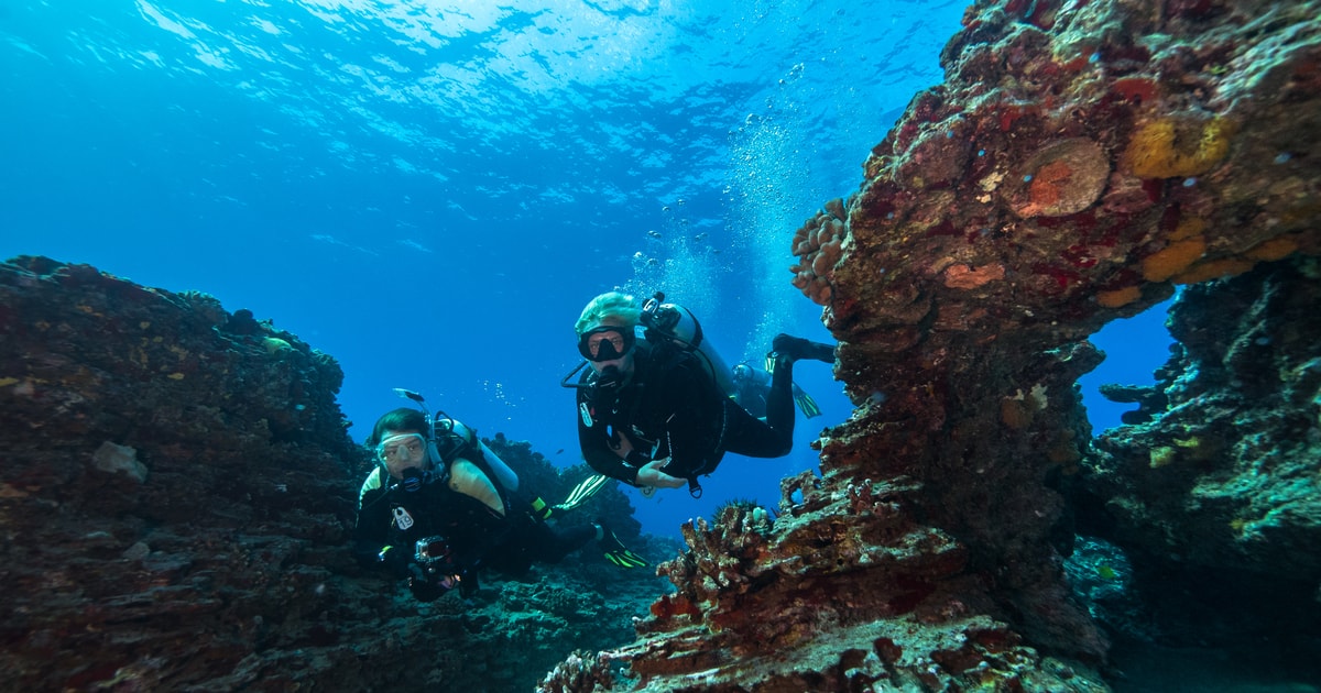 Oahu Shallow Reef Scuba Dive for Certified Divers GetYourGuide
