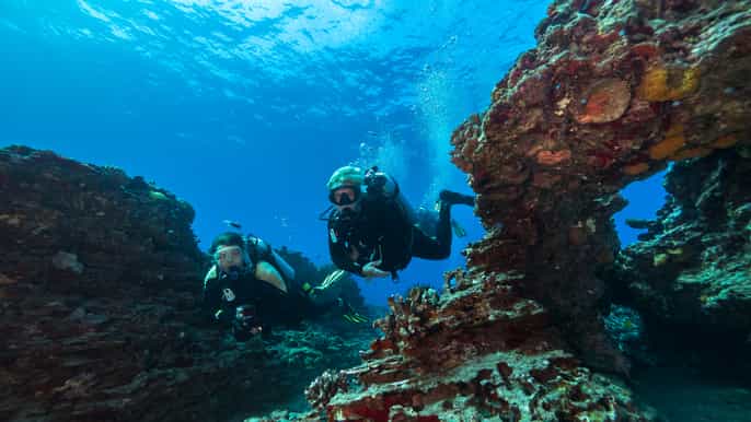 oahu shallow reef scuba dive for certified divers