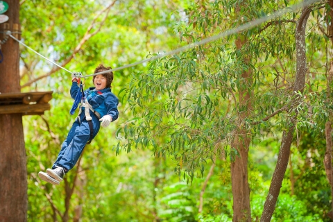 Santuario de Vida Silvestre Currumbin: Entrada y desafío TreeTops