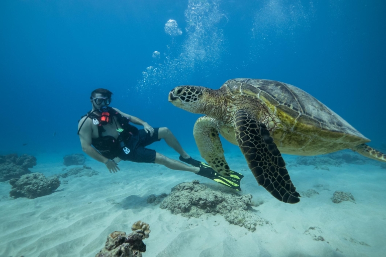 Oahu: Waikiki Discovery Scuba Diving for Beginners
