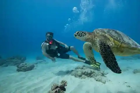 Oahu: Waikiki Discovery Scuba Diving for Beginners