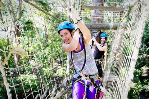 Currumbin Wildlife Sanctuary Entry & TreeTops Challenge