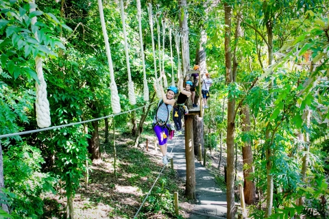 Santuario de Vida Silvestre Currumbin: Entrada y desafío TreeTops