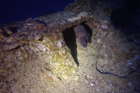 Immersione notturna a Oahu: Avventura per subacquei certificatiOahu Night Dive: avventura per subacquei certificati