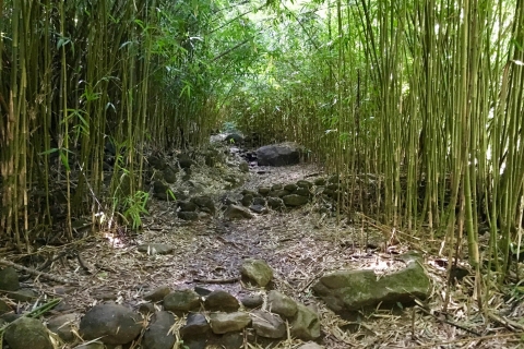 Maui: aventure de randonnée dans la jungle et la cascade