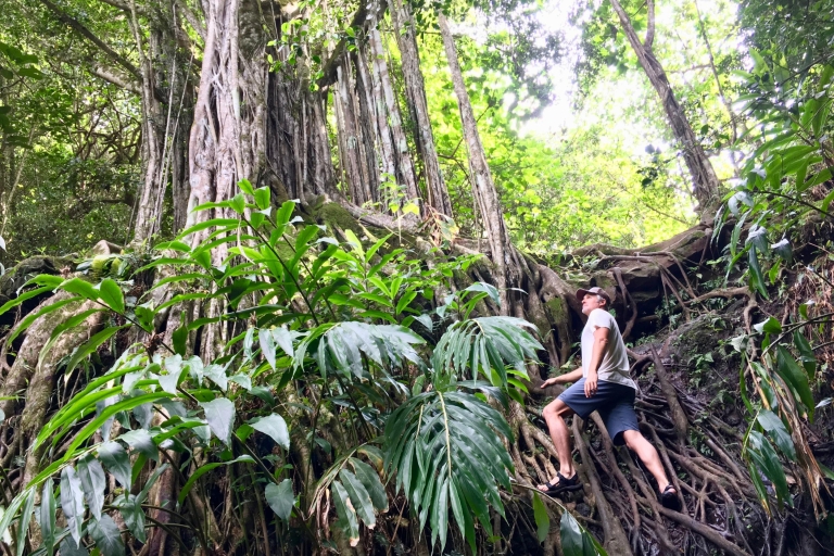 Maui: Dschungel- und Wasserfall-Wanderabenteuer
