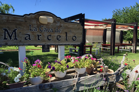 Från Ensenada: Ost- och vinprovningstur i Ojos Negros-dalenIcke-privat rundtur