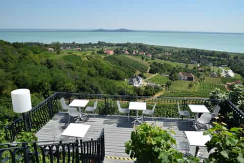 Lake Balaton: Wine Tasting, Castle and Thermal Lake Visit