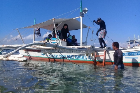 Desde Cebú: Excursión al Tiburón Ballena y Excursión Privada a las Cataratas de TumalogExcursión por el Tiburón Ballena, Cataratas de Tumalog y excursión por las islas de Moalboal