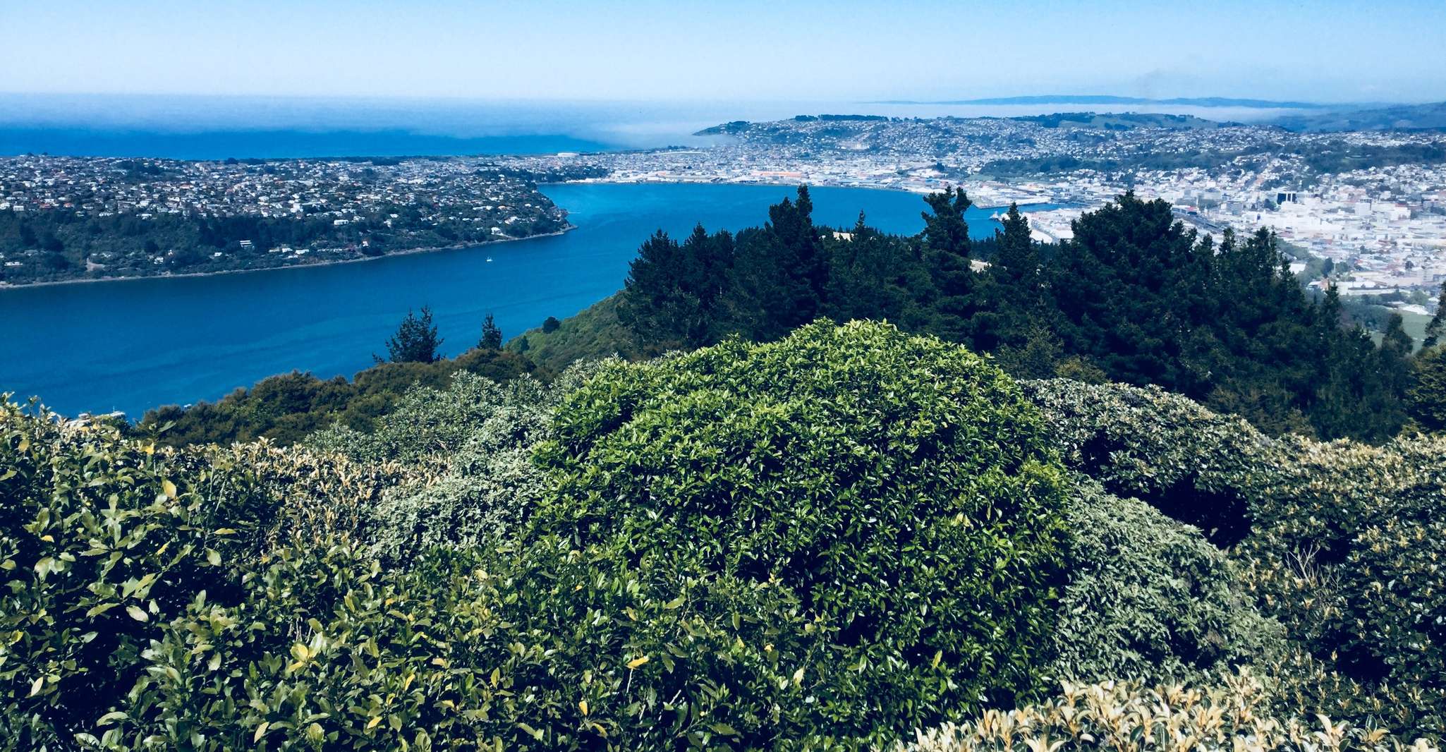 Dunedin, City Highlights et scène de la péninsule d'Otago - Hizvo