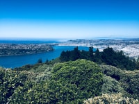 Dunedin, City Highlights und Otago Peninsula Scenery - Hizvo