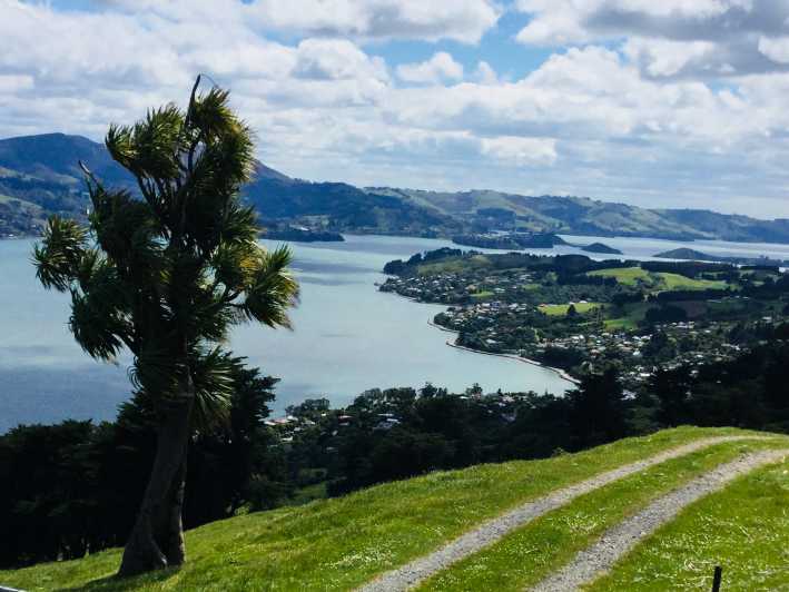 Dunedin: Otago-félsziget tájak