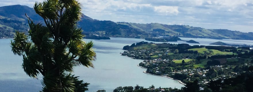 Dunedin : les temps forts de la ville et les paysages de la péninsule d'Otago
