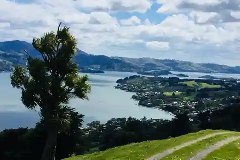 Dunedin: City Highlights and Otago Peninsula Scenery