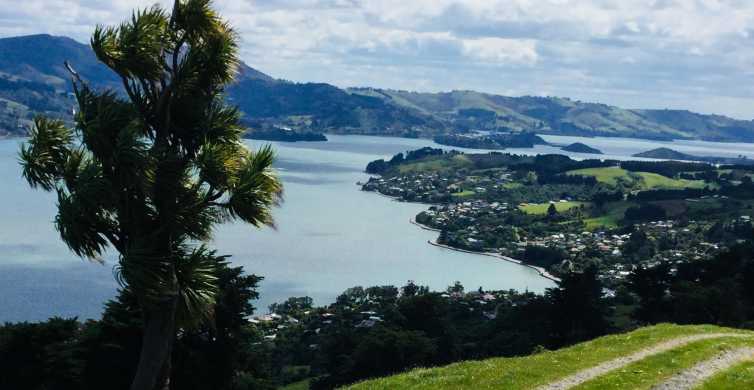 Dunedin: Otago-félsziget tájak