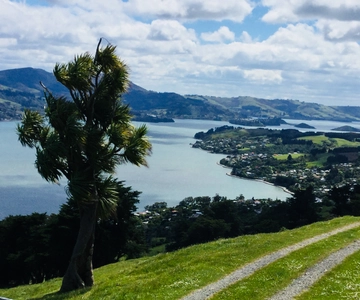 Dunedin : Les points forts de la ville et les paysages de la péninsule d'Otago