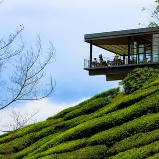 Desde Kuala Lumpur: tour de un día a Cameron Highlands