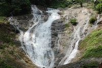 From Kuala Lumpur, Cameron Highlands Day Tour with Lunch - Housity