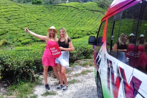 Cameron Highlands: Całodniowa wycieczka do Kuala Lumpur