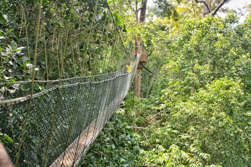 Из Куала-Лумпура: однодневный тур в национальный парк Таман Негара