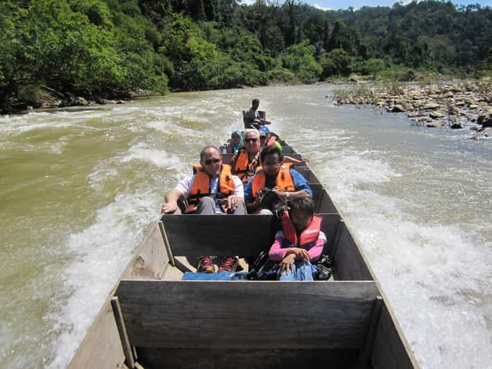 Fra Kuala Lumpur Dagstur I Taman Negara Nationalpark GetYourGuide