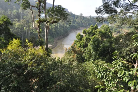 Z Kuala Lumpur: Jednodniowa wycieczka do Parku Narodowego Taman Negara