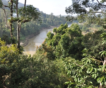 From Kuala Lumpur: Taman Negara National Park Trek Day Tour