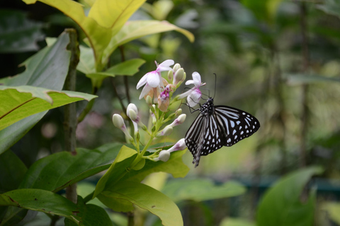 KL Green Escape: 4-Hour Gardens, Bird & Butterfly Tour Shared Tour with Hotel Pick Up