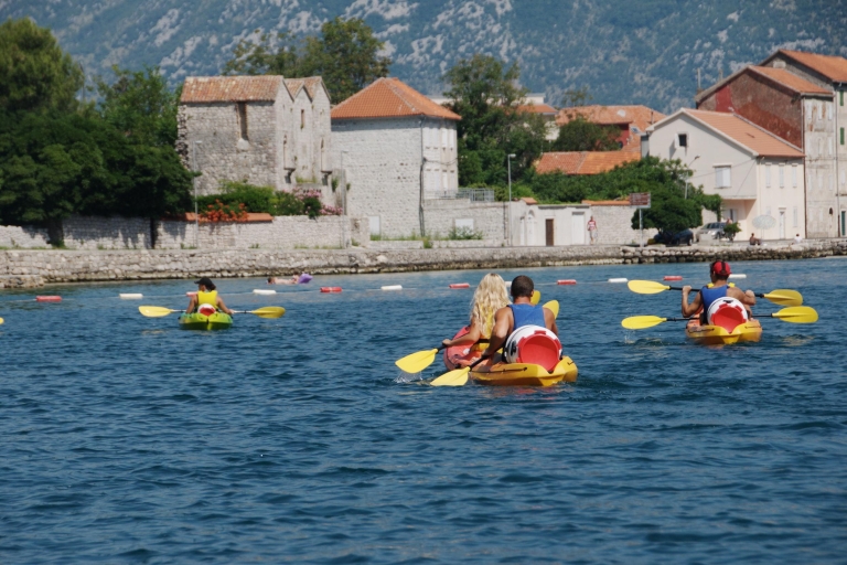 Zatoka Kotorska: 2,5-godzinna wycieczka kajakiem