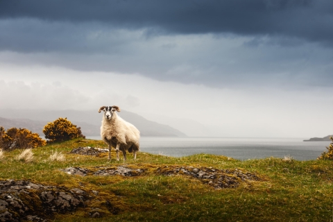 Iona, Mull, and Isle of Skye: 5-Day Tour from Edinburgh Double Room with Private Bathroom