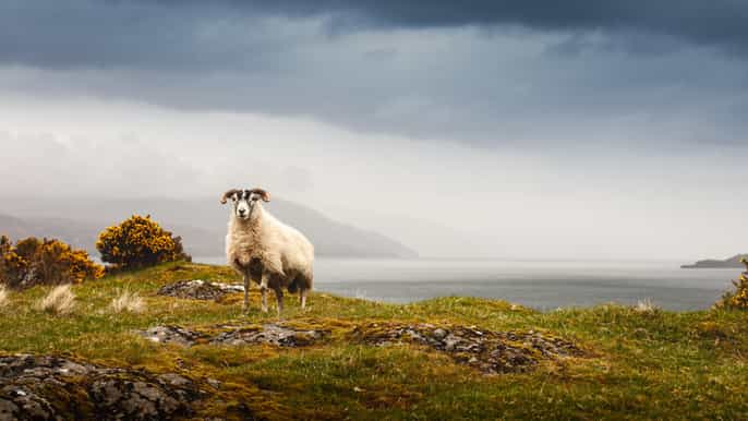 iona mull and isle of skye 5day tour from edinburgh