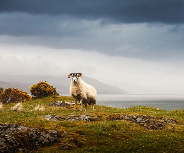Iona, Mull e Ilha de Skye: Excursão de 5 dias a partir de Edimburgo
