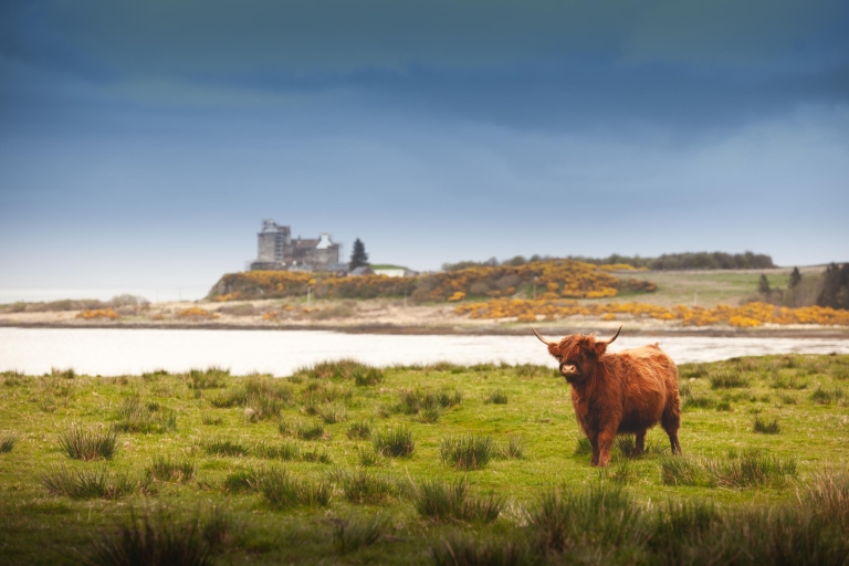 Isle of Mull and Iona 3-Day Small-Group Tour from Glasgow 3-Day Small Group Tour: Single Room Accommodation